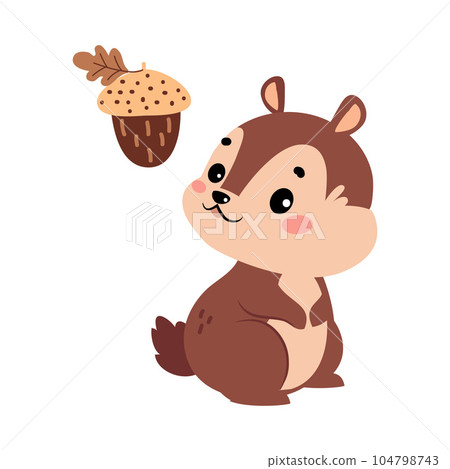 Funny Chipmunk Character with Cute Snout Look at Acorn Vector Illustration Funny Chipmunk Character with Cute Snout Look at Acorn Vector Illustration 104798743