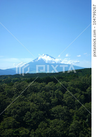 三島天空步道 富士山 104799267