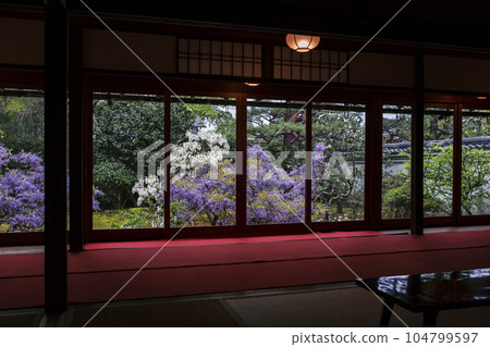 長慶院的紫藤 長慶院的紫藤 104799597