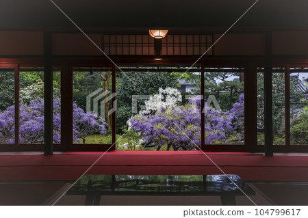 長慶院的紫藤 104799617