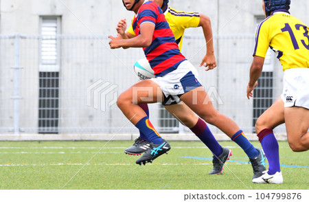 橄欖球 橄欖球 104799876