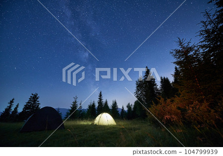 Beautiful landscape of grassy hill with camp tents and coniferous trees under night starry sky. Scenic panoramic view of tourist tents in mountain meadow under blue sky with stars. 104799939