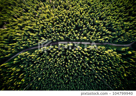 Aerial drone view of mountain road or pathway through alpine coniferous forest with green trees. Beautiful landscape of hiking path passing through conifer woods in lush green woodland. Aerial drone view of mountain road or pathway through alpine coniferous forest with green trees. Beautiful landscape of hiking path passing through conifer woods in lush green woodland. 104799940