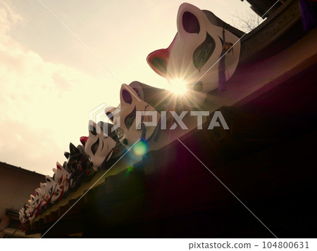 Fox watching the sunset Fox watching the sunset 104800631