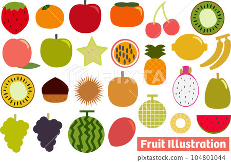 簡單的水果插畫集 104801044