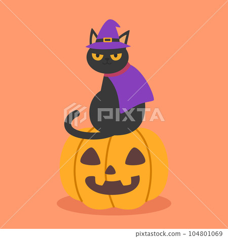 A cute black cat in a witch hat sitting on a Halloween pumpkin to celebrate Halloween celebrities' holiday greetings. Vector illustration cartoon. A cute black cat in a witch hat sitting on a Halloween pumpkin to celebrate Halloween celebrities' holiday greetings. Vector illustration cartoon. 104801069