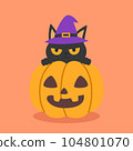 A cute black cat wearing a violet witch hat stays above the Halloween pumpkin to celebrate Halloween celebrities' holiday greetings. Vector illustration cartoon. 104801070