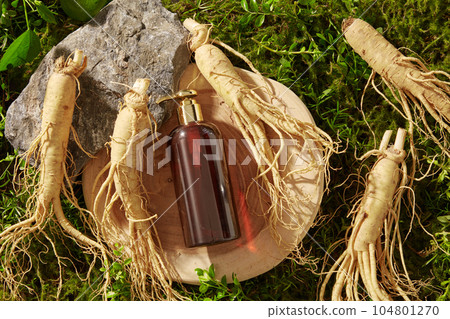 An amber bottle unbranded displayed on wooden tray with fresh ginseng roots and block of stone on green moss background. Mockup scene for advertising and branding product with ginseng ingredient 104801270