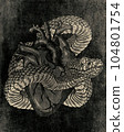 Viper snake. Hand drawn illustration in ink technique on grunge background 104801754