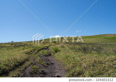 Kirigamine plateau in summer 104801812
