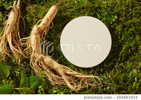 A white podium in round-shaped put on the green grass with ginseng roots. Pedestal or platform for beauty products advertising of Ginseng (Panax ginseng) extract A white podium in round-shaped put on the green grass with ginseng roots. Pedestal or platform for beauty products advertising of Ginseng (Panax ginseng) extract 104801933