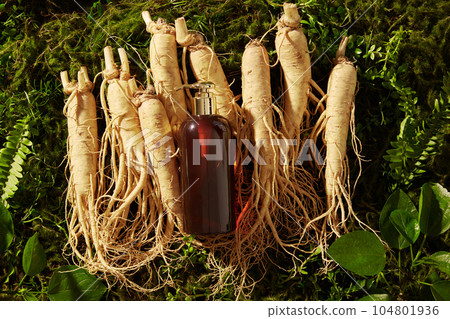 Unbranded pump bottle dispenser placed on many ginseng roots. Ginseng (Panax ginseng) has been used in traditional Chinese medicine for centuries Unbranded pump bottle dispenser placed on many ginseng roots. Ginseng (Panax ginseng) has been used in traditional Chinese medicine for centuries 104801936