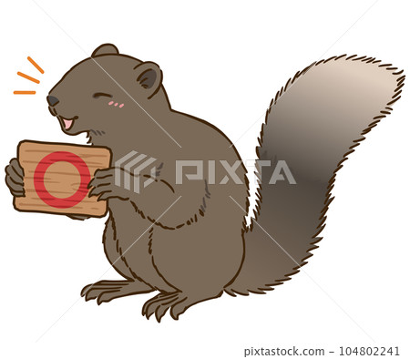 Taiwan squirrel holding a sign with a circle mark 104802241