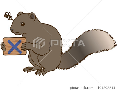 Taiwanese squirrel holding a sign with a cross mark 104802243