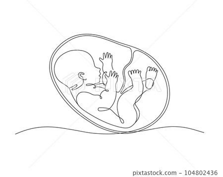 baby, womb, uterus 104802436