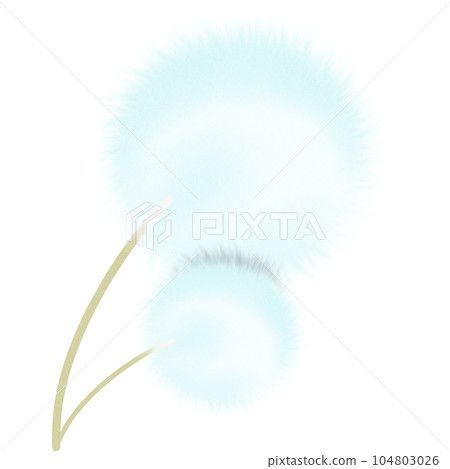 Flower 104803026