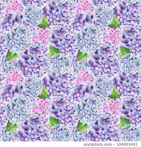 hydrangea flower watercolor patern .Watercolor illustration hydrangea hydrangea flower watercolor patern .Watercolor illustration hydrangea 104803491