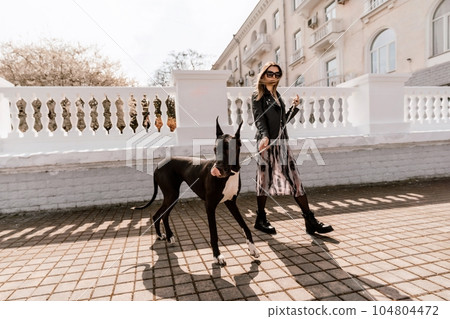 A woman walks with her Great Dane in an urban setting, enjoying the outdoors and the company of her dog. 104804472