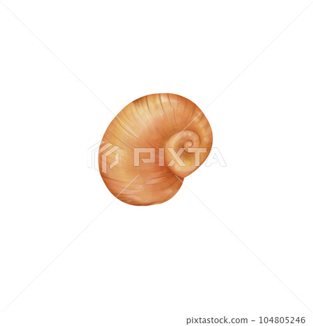 Drawings portraying enchanting and colorful shell landscapes, where shells are transformed into elements Drawings portraying enchanting and colorful shell landscapes, where shells are transformed into elements 104805246