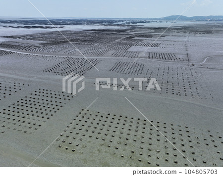 Aerial view of Oyster farm. Sustainable farming. Oyster farming is an aquaculture practice. Oyster farming at Ang Sila town, Chonburi, Thailand. Landscape oyster beds at low tide on summer sunny day. 104805703