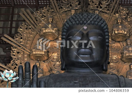 Statue of Rushana Buddha at Todaiji Temple (Nara City, Nara Prefecture) 104806359