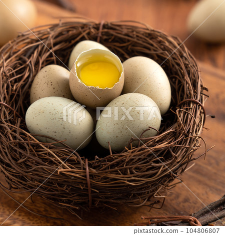 Rutin chicken Ludin chicken egg egg brown brown gray Egg in nest egg 生たまご 104806807