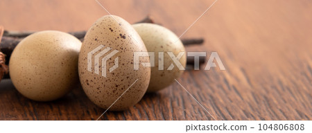 蘆丁雞 盧丁雞 雞蛋 蛋 棕色 咖啡色 灰色 Egg in nest 卵 生たまご 104806808