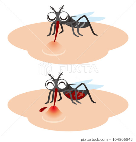 吸血的蚊子 104806843