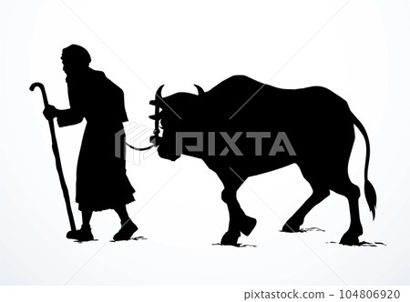 Vector drawing. A man leads an ox 104806920