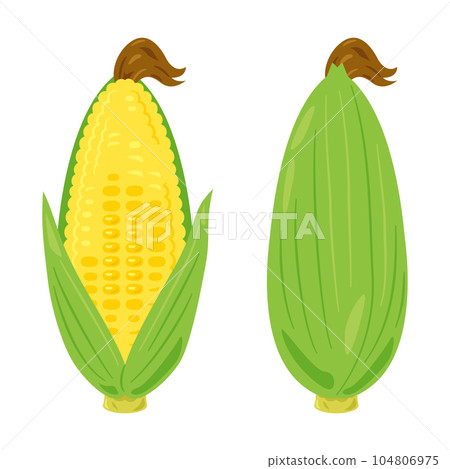 玉米有葉子和須 104806975