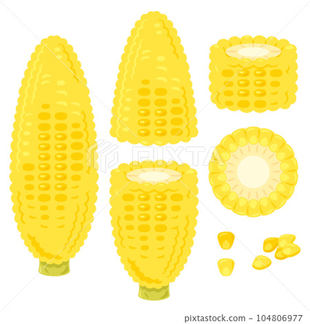 玉米 玉米 104806977