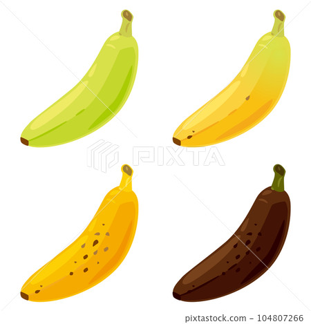 Banana ripening process - Stock Illustration [104807266] - PIXTA