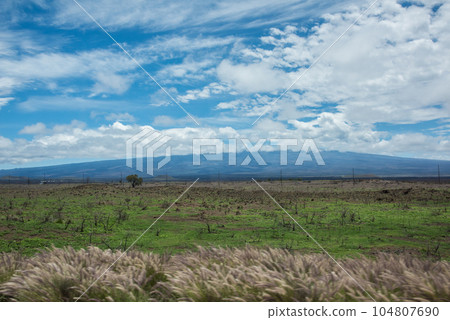 Mauna Loa Volcano, the world's largest volcano, taken from the window of a car driving on Saddle Road, Hawaii Island Mauna Loa Volcano, the world's largest volcano, taken from the window of a car driving on Saddle Road, Hawaii Island 104807690