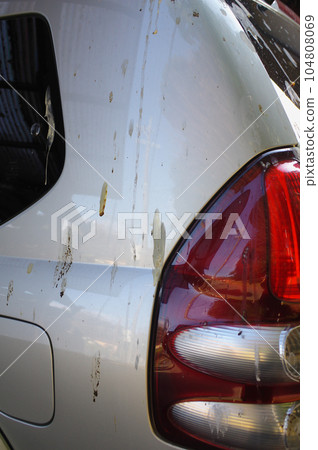 Outraged by crow feces 104808069