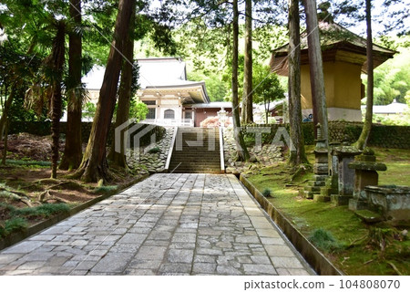 Machida City: The approach to Daisenji Temple, the main hall, and fresh greenery 104808070