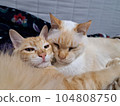 A good friend 104808750