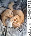 A good friend 104808755
