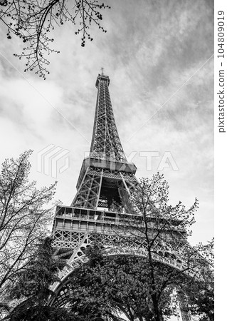 Morning view of Eiffel Tower from bottom. Paris, France. Black and white photography. Morning view of Eiffel Tower from bottom. Paris, France. Black and white photography. 104809019