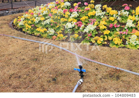 Watering the flower bed Automatic sprinkler Watering the flower bed Automatic sprinkler 104809483