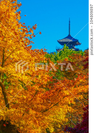 Image of autumn leaves and five-storied pagoda Image of autumn leaves and five-storied pagoda 104809897