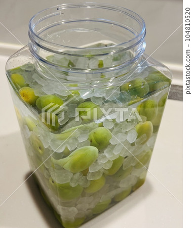 Unripe plums, crystal sugar and white liquor for making plum wine 104810520