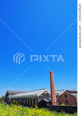 Fushimi's sake brewery and rape blossoms 104810928