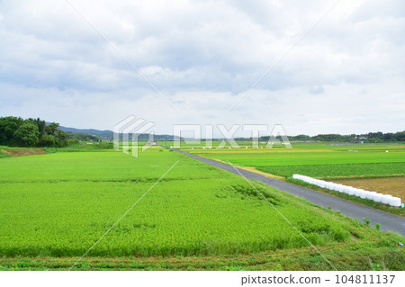 Rainy Hisatsu Orange Railway, train window scenery from Satsuma Okawa Station to Izumi Station (2022) 104811137