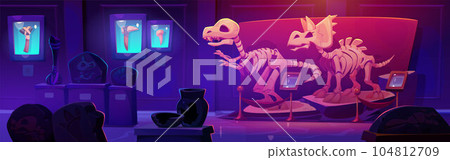 Fossil dinosaur skeleton in history museum cartoon Fossil dinosaur skeleton in history museum cartoon 104812709