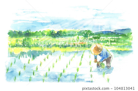 Landscape of rice fields in the countryside painted in watercolor Landscape of rice fields in the countryside painted in watercolor 104813041