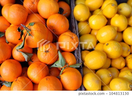 Fresh healthy bio citrus in Monaco supermarket - lemons and tangerines. Background. 104813130