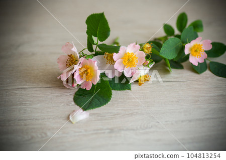 beautiful pink small roses on a wooden table. 104813254