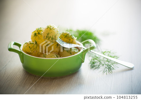 boiled early potatoes with butter and fresh dill in a bowl 104813255