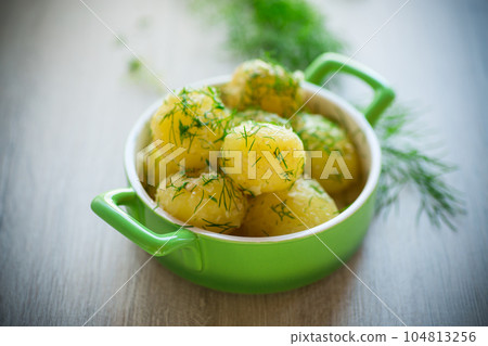 boiled early potatoes with butter and fresh dill in a bowl boiled early potatoes with butter and fresh dill in a bowl 104813256