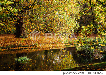 Beautiful colorful autumn nature background. Beautiful autumn landscape with yellow trees around the river and in water reflection and bench on the other bank in a city park. Selective focus. 104813652